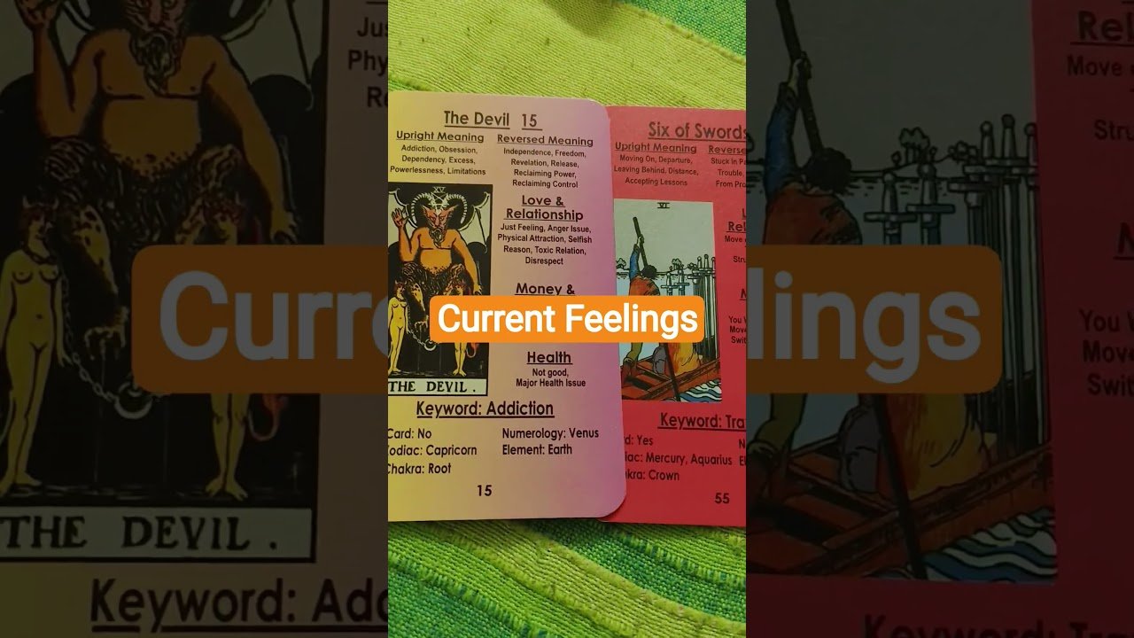 No momento, você está visualizando #tarot #divinetarotbyshreya #hinditarotreading