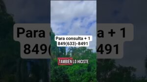 Leia mais sobre o artigo #tarot #lecturacartas #estadosunidos #amor #tarotamornuevo #viralvideo #horoscopo #taromancia