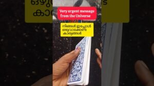 Leia mais sobre o artigo Tarot reading Malayalam #malayalamtarotreading #tarot #shortsfeed #shorts