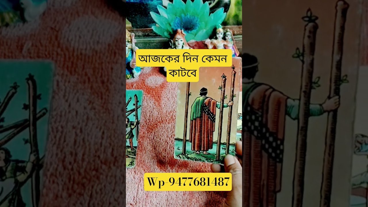 No momento, você está visualizando #tarot #todayshoroscope #dailyhoroscope #shortsviral #আজকেরদিন #আজকেররাশিফল @tumpa01