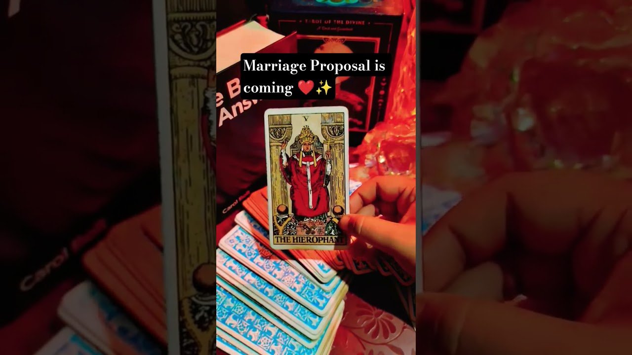 No momento, você está visualizando Their Special Love Message For You ❤️ #tarot #psychiclovereading #tarotcardreading