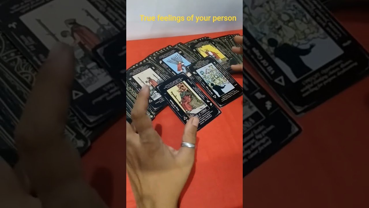 No momento, você está visualizando True feelings of your person #tarot #Bengali tarot reading # short video