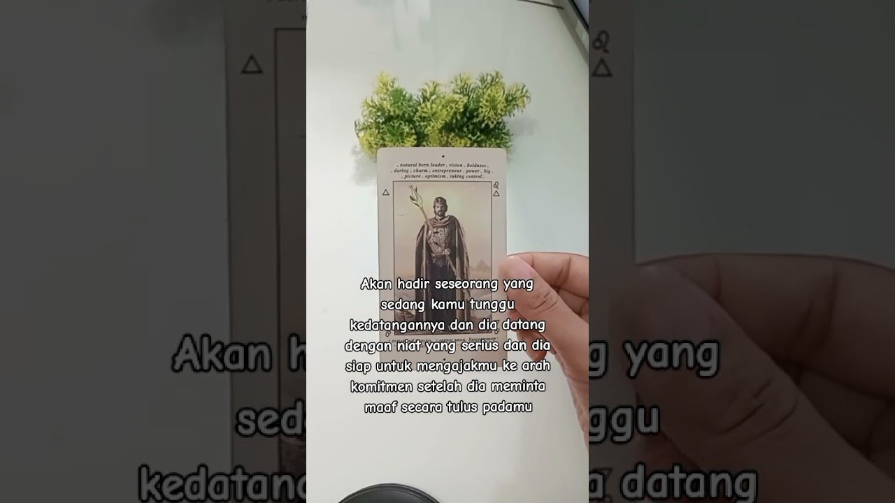 No momento, você está visualizando Yang akan terjadi dalam hidupmu di bulan november 2025 ✨️ #tarot #tarotreading #soulmate #shorts