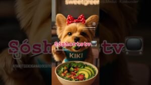 Leia mais sobre o artigo York 💋😍🥰😘 #cute