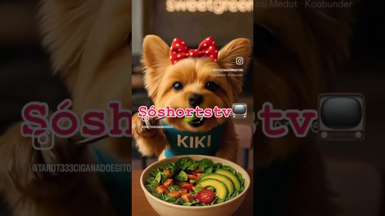 No momento, você está visualizando York 💋😍🥰😘 #cute
