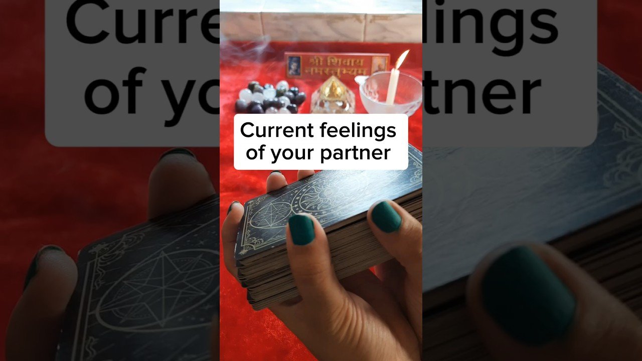 No momento, você está visualizando Your Partner’s Feelings #tarot #tarotreading #hinditarot #currentfeelings #viral #shortvideo #short