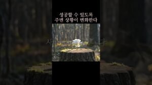 Leia mais sobre o artigo 부자가 되는 시기는? 💸💵 #금전운 #부자 #타로