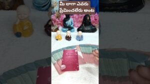 Leia mais sobre o artigo మీ లాగా ఎవరు ప్రేమించలేరు అంట ❤️#shorts #shortvideo #tarot #short #trend #tarotreading #short
