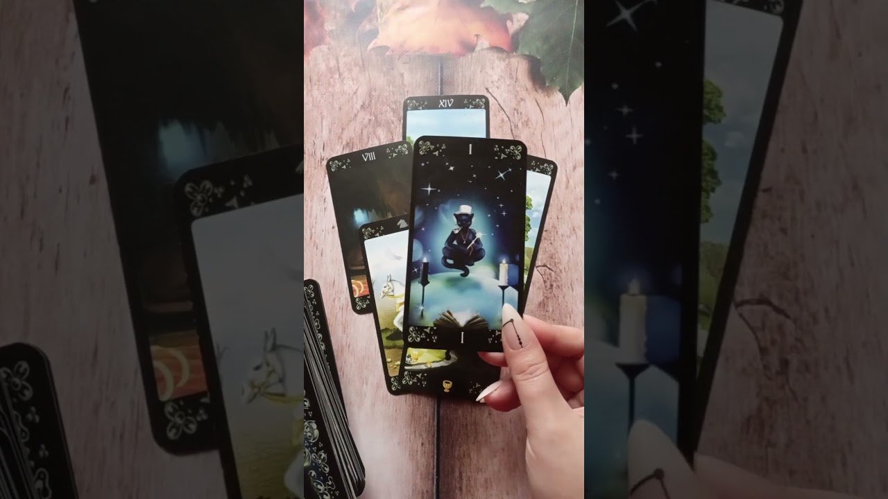 No momento, você está visualizando ❗️ Терміново! Це 200% твоє за долею! таро розклад #shorts  #tarot  #таро