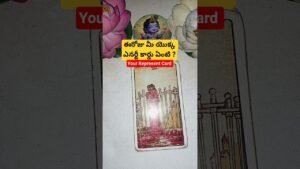 Leia mais sobre o artigo ఈరోజు మీ యొక్క ఎనర్జీ కార్డు ఏంటి ? #tarot #tarotcaards #fortunetelling #tarotreadi
