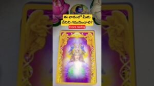 Leia mais sobre o artigo ఈ వారంలో మీరు దేనిని గమనించాలి? #dailytarot #tarot #tarotcaards #tarotreadi #fortune