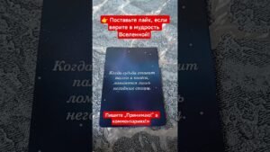 Leia mais sobre o artigo 🌟 ПОДСКАЗКА ВСЕЛЕННОЙ#shorts#посланиевселенной#таро#мотивация#раскладтаро#youtubeshorts#любовь#reels