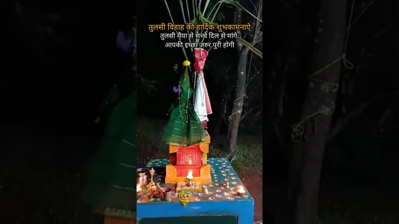 No momento, você está visualizando तुलसी विवाह की शुभकामनाऐ #tarot #shorts #shortsfeed #tulsivivah #tarotreading #marriage #love