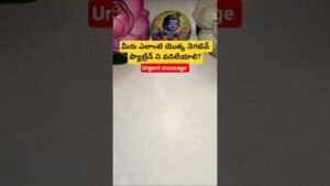 Leia mais sobre o artigo మీరు ఎలాంటి యొక్క నెగటివ్ ప్యాట్రేన్ ని వదిలేయాలి? #dailytarot #tarot #tarotcaards #fortune