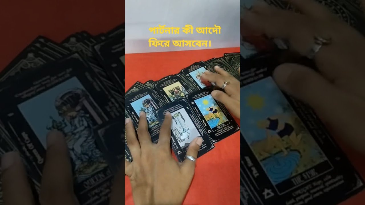 No momento, você está visualizando পার্টনার কী আদৌ ফিরে আসবেন। #tarot #Bengali tarot reading # short video