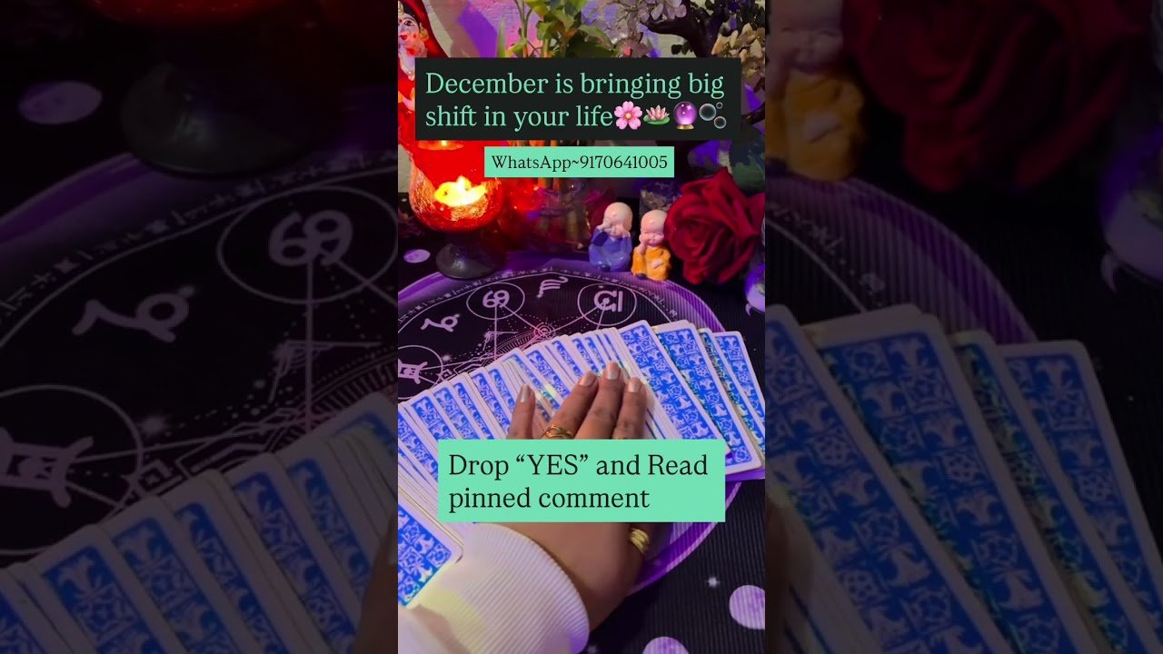 No momento, você está visualizando 🌸🌺🌹🪷🔮✨🌷🌻 #tarot #tarotreading #tarotreader