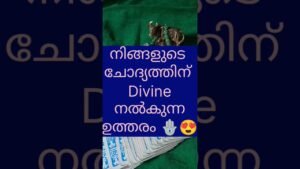 Leia mais sobre o artigo ഇപ്പോൾ Divine നിങ്ങൾക്ക് നൽകുന്ന മറുപടി കേട്ട് നോക്കൂ.. 🙌🏻❤️#tarot #trending #god