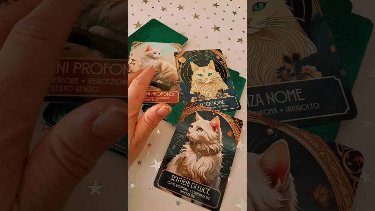 No momento, você está visualizando 🪽🔮🦉✨️💫⭐️ #tarot #cartomanzia #tarotreading #manifestyourdreams #amore