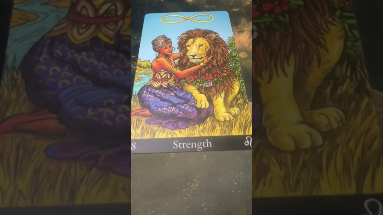 No momento, você está visualizando 27 November 2025 #tarot #sheilalenormand