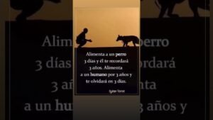 Leia mais sobre o artigo #80smusic #coversong #oldies #music #tarot #lecturacartas #musicgenre #booktok #taromancia #song