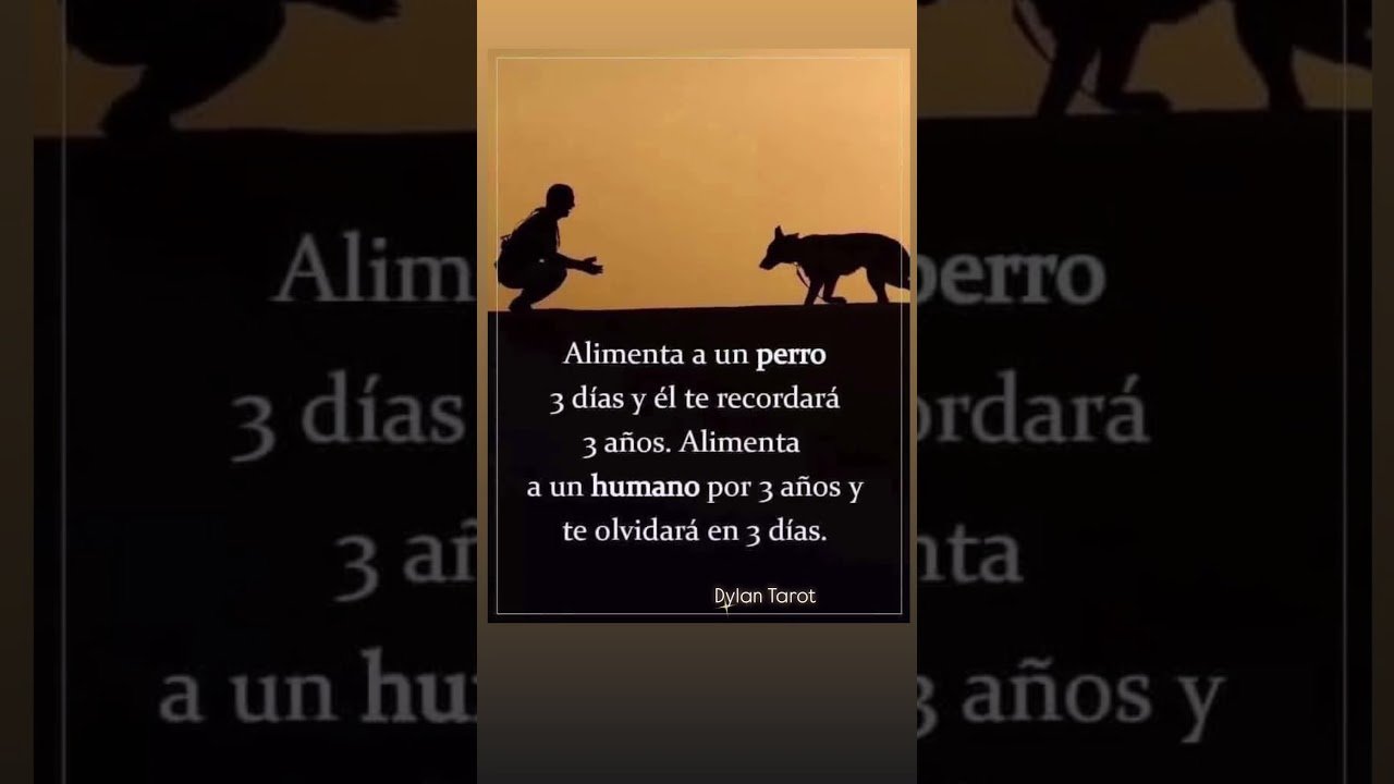 No momento, você está visualizando #80smusic #coversong #oldies #music #tarot #lecturacartas #musicgenre #booktok #taromancia #song