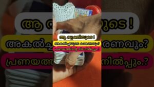 Leia mais sobre o artigo ആ വ്യക്തിയുടെ അകൽച്ചയുടെ കാരണവും, ഇഷ്ടത്തിന്റെ നിലനിൽപ്പും.. #tarot #astrology #tarotreading #love