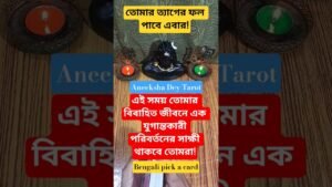 Leia mais sobre o artigo তোমার বিবাহিত জীবনে এক যুগান্তকারী পরিবর্তন হচ্ছে! #shorts #new #marriage #tarot #aneekshadeytarot