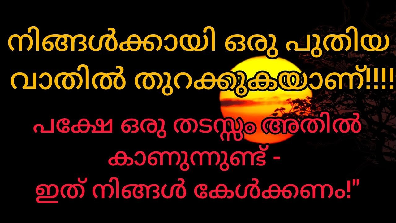 No momento, você está visualizando ഇപ്പോൾ നിങ്ങൾ നേരിട്ട് കൊണ്ടിരിക്കുന്ന ആ തടസ്സം അവസാനിപ്പിക്കേണ്ടത് ആവശ്യമാണ്#tarot