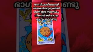 Leia mais sobre o artigo “ഇതുവരെ നിങ്ങൾ കാത്തിരുന്നതിത് തന്നെയോ? 😳✨ | Lucky Message 🔮🎡”#shorts#tarot#malayalamtarot #viral