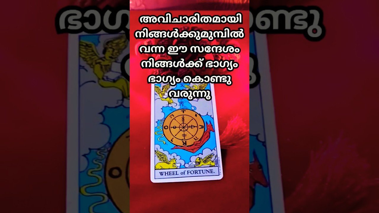No momento, você está visualizando “ഇതുവരെ നിങ്ങൾ കാത്തിരുന്നതിത് തന്നെയോ? 😳✨ | Lucky Message 🔮🎡”#shorts#tarot#malayalamtarot #viral