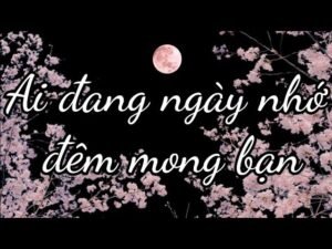 Leia mais sobre o artigo Ai đang ngày nhớ đêm mong bạn❤️ #vtarot #tarot