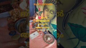 Leia mais sobre o artigo ❤️ഇന്ന് നിങ്ങളിൽ വരുന്ന അവസരം 🙏#shorts#tarot#viralvedio#positivevibes#navasandhyatarotguidance