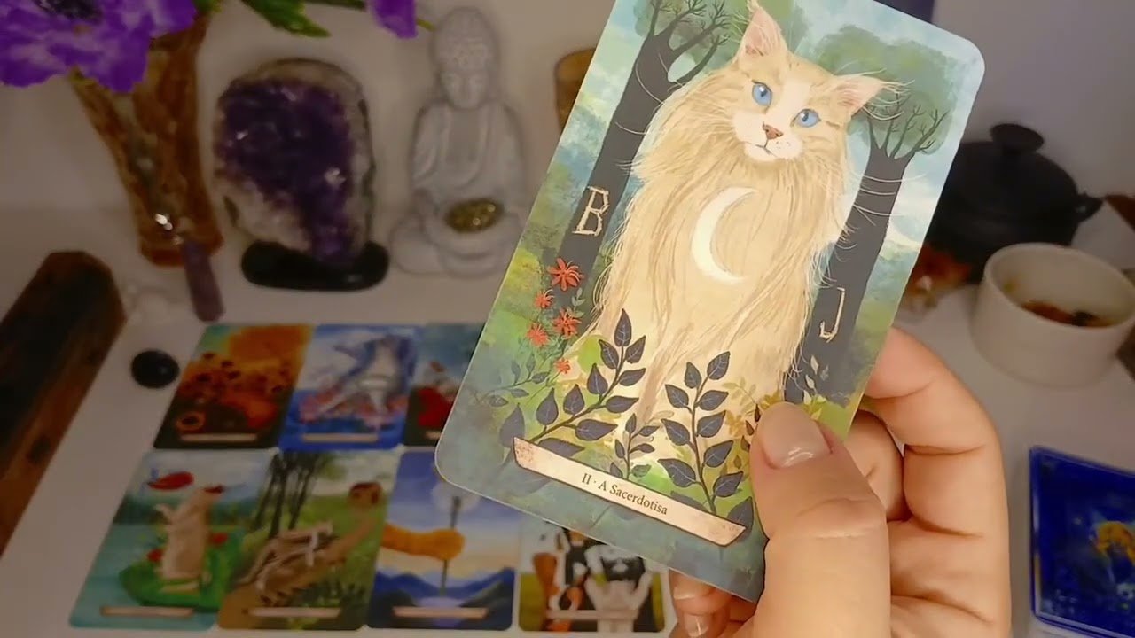 No momento, você está visualizando ALGO INESPERADO VAI ACONTECER EM 72HS E MUDAR TUDO! PREPARE-SE! #tarot #viralvideo #fyp