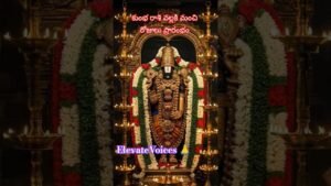 Leia mais sobre o artigo Aquarius: Your Future Looks Bright (Astrology & Tarot)