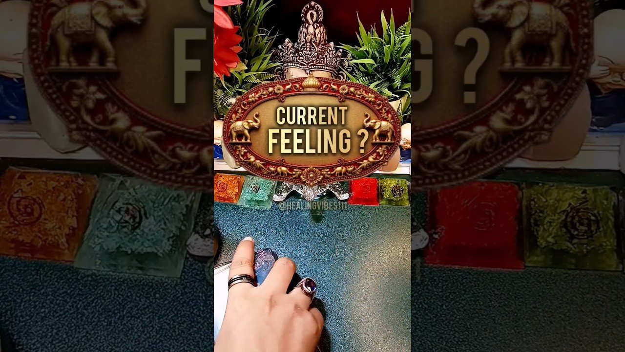 No momento, você está visualizando Current Feeling Of Your Love Partner #tarot #tarotreading #tarotreader #shorts #currentfeelings