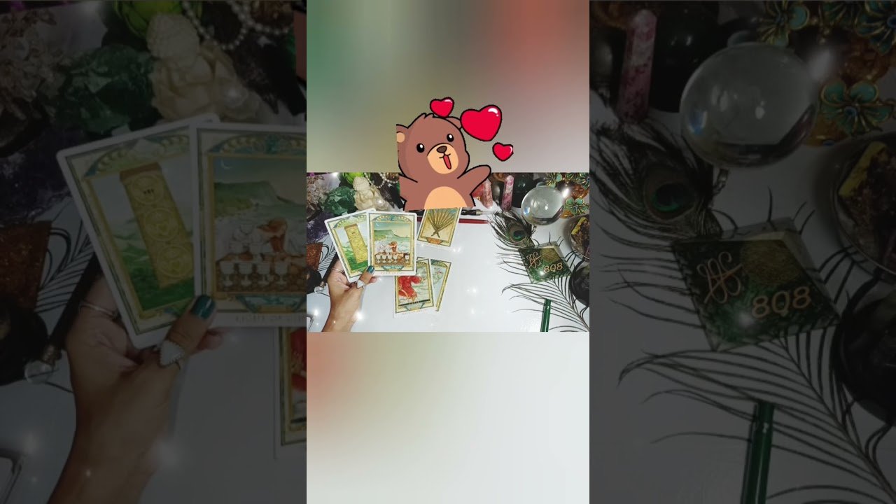 No momento, você está visualizando current feelings thought 💭 for you #sambhavi #love#tarot