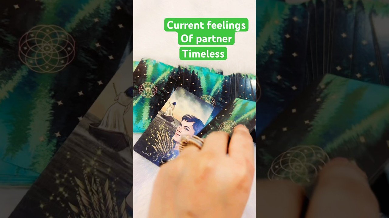 No momento, você está visualizando Current feelings timeless #shortvideos #tarot #viral #shortvideos #shortsfeed #trending #shorts