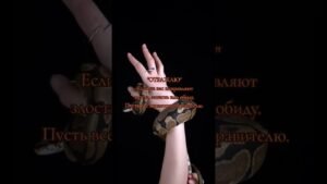 Leia mais sobre o artigo #жизнь #таро #гадание #психология #таролог #shorts #tarot #2026 #2025 #эзотерика#магия #раскладтаро