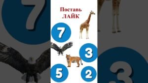 Leia mais sobre o artigo #жизнь #таро #таросила #гадание #таролог #игра #интуиция #игры #shorts #tarot #память #подпишись