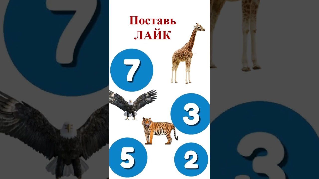 No momento, você está visualizando #жизнь #таро #таросила #гадание #таролог #игра #интуиция #игры #shorts #tarot #память #подпишись