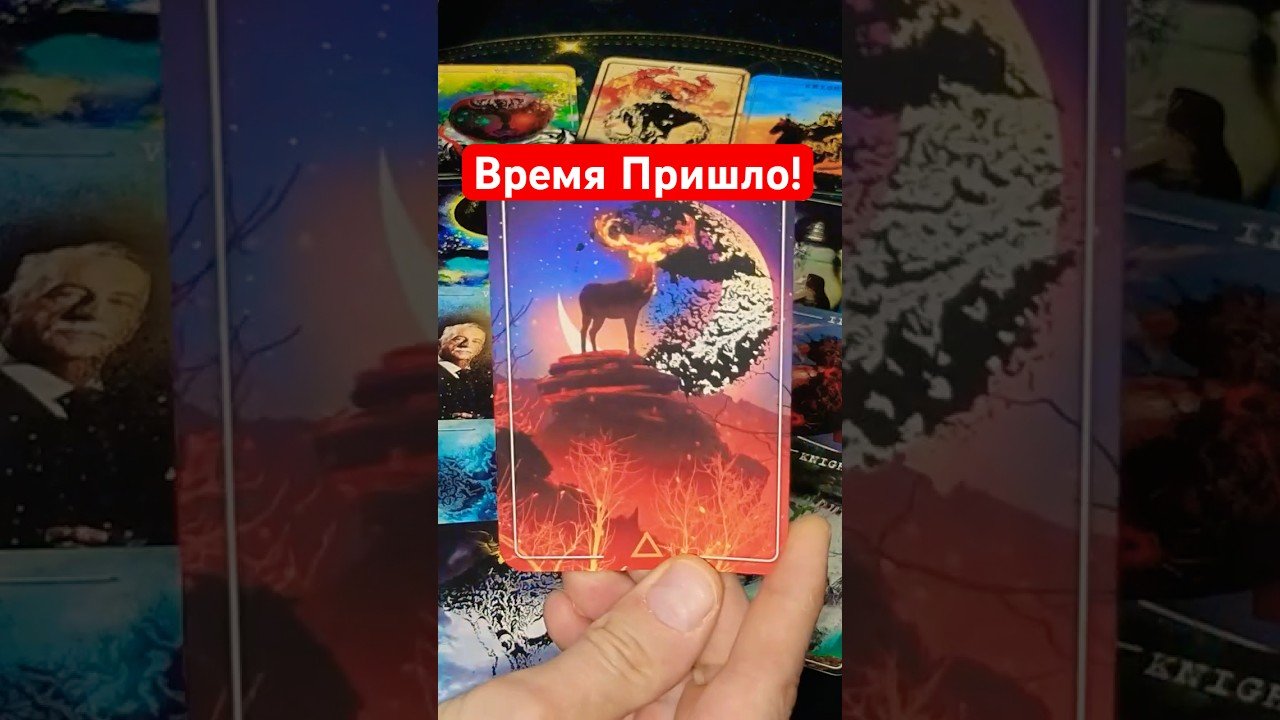 No momento, você está visualizando 💥Что Ворвется в Вашу Жизнь со Дня на День… Гадание на картах Таро #shorts #tarot #таролог