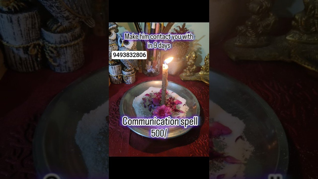 No momento, você está visualizando November #tarot #lifeisbutadream #love #happybirthday #birthday #celebration #shortsfeed #viralvideo