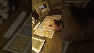 Leia mais sobre o artigo Previsões para todos os Signos no Tarot para o dia 8 de Novembro de 2025.#tarot