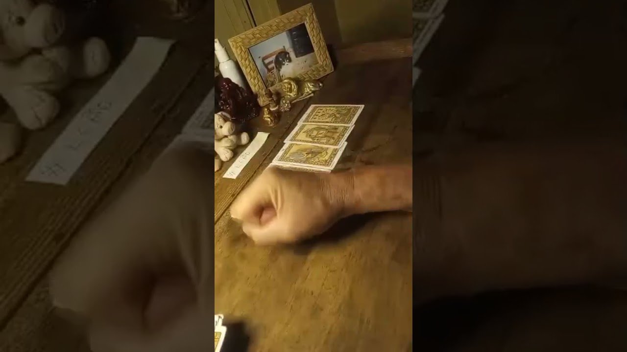 No momento, você está visualizando Previsões para todos os Signos no Tarot para o dia 8 de Novembro de 2025.#tarot