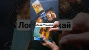 Leia mais sobre o artigo #reels #reelsinstagram #reelvideo #feelkaro #instagood #Instagram #shorts #tarot #love #man