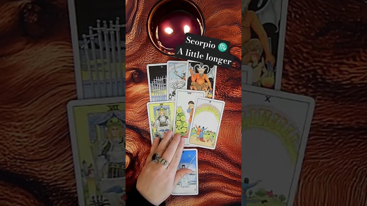 No momento, você está visualizando SCORPIO ♏️ A Little Longer 🦂 November 16 #Scorpio #tarot #shorts #scorpiotarot