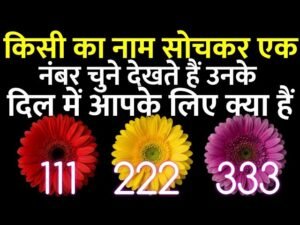 Leia mais sobre o artigo tarot card reading उनके दिल में आपके लिए क्या हैं choose one number चुने एक नंबर Hindi tarot reading