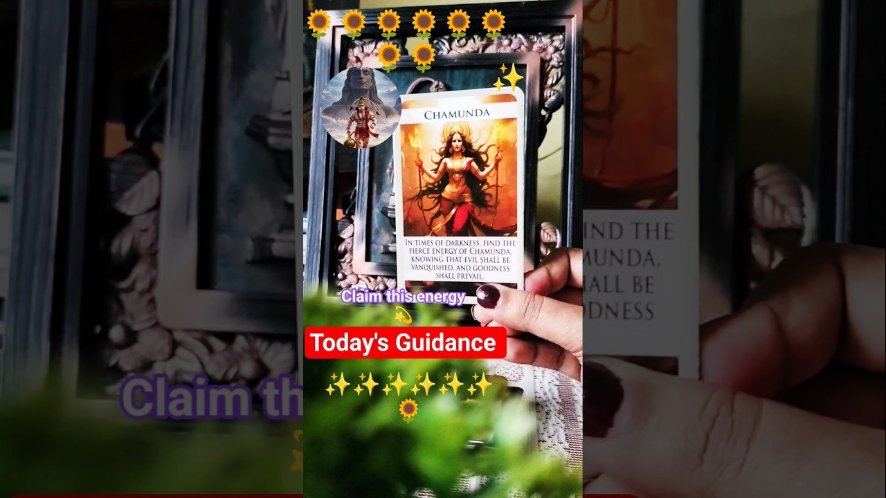 No momento, você está visualizando Tarot Guidance ✨🪷 #spirituality #tarot #shortsfeed #shorts