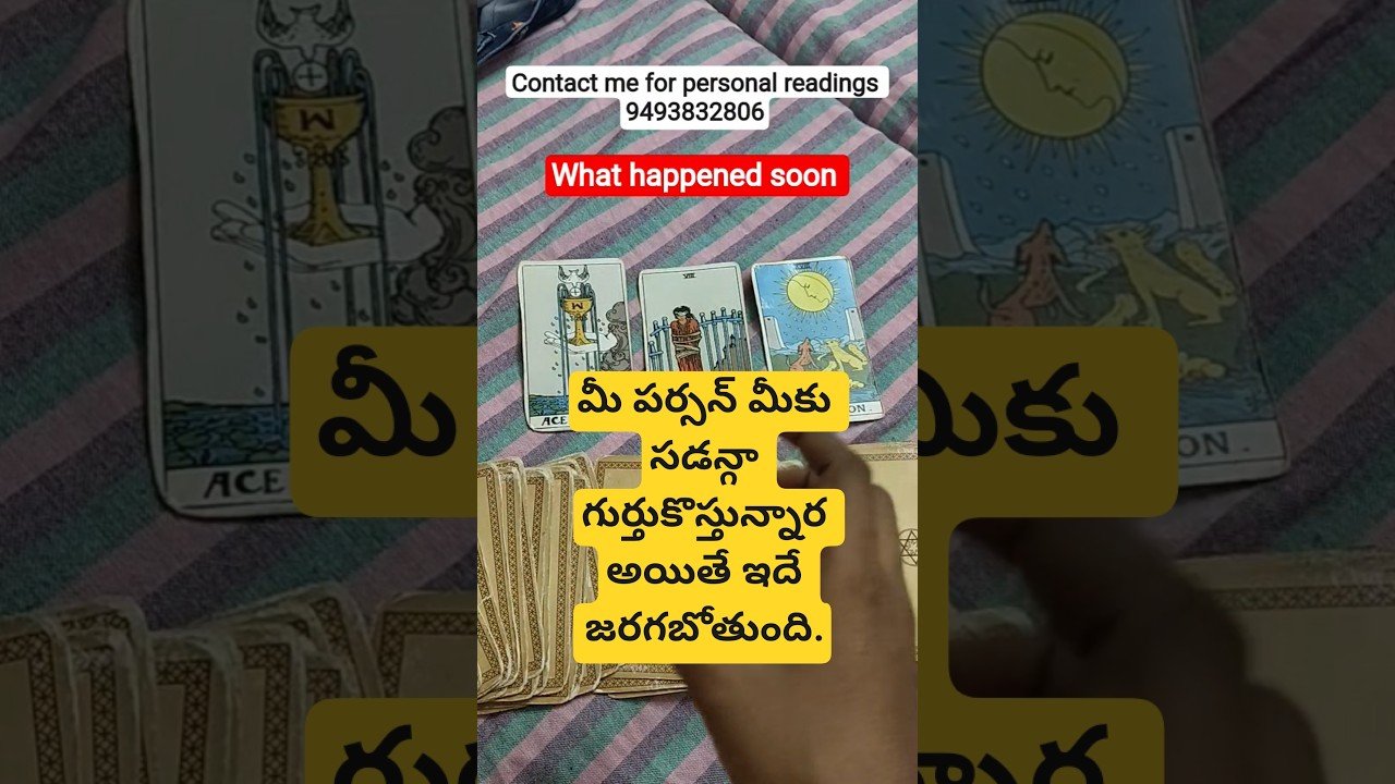 No momento, você está visualizando #tarot #lifeisbutadream #tarotreading #astrology #tarotreader #cardreading #youtube #viralvideo