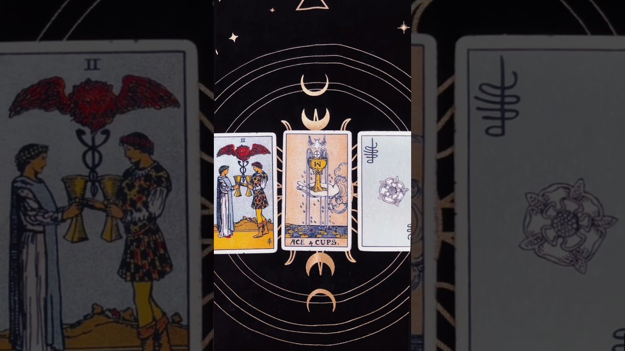 No momento, você está visualizando Tarot Reading Sinhala #tarot